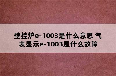 壁挂炉e-1003是什么意思 气表显示e-1003是什么故障